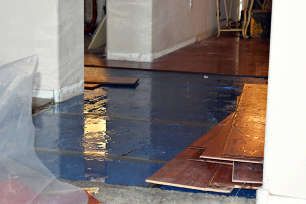 Professional Basement Flooding technician working in Edgewater, NJ